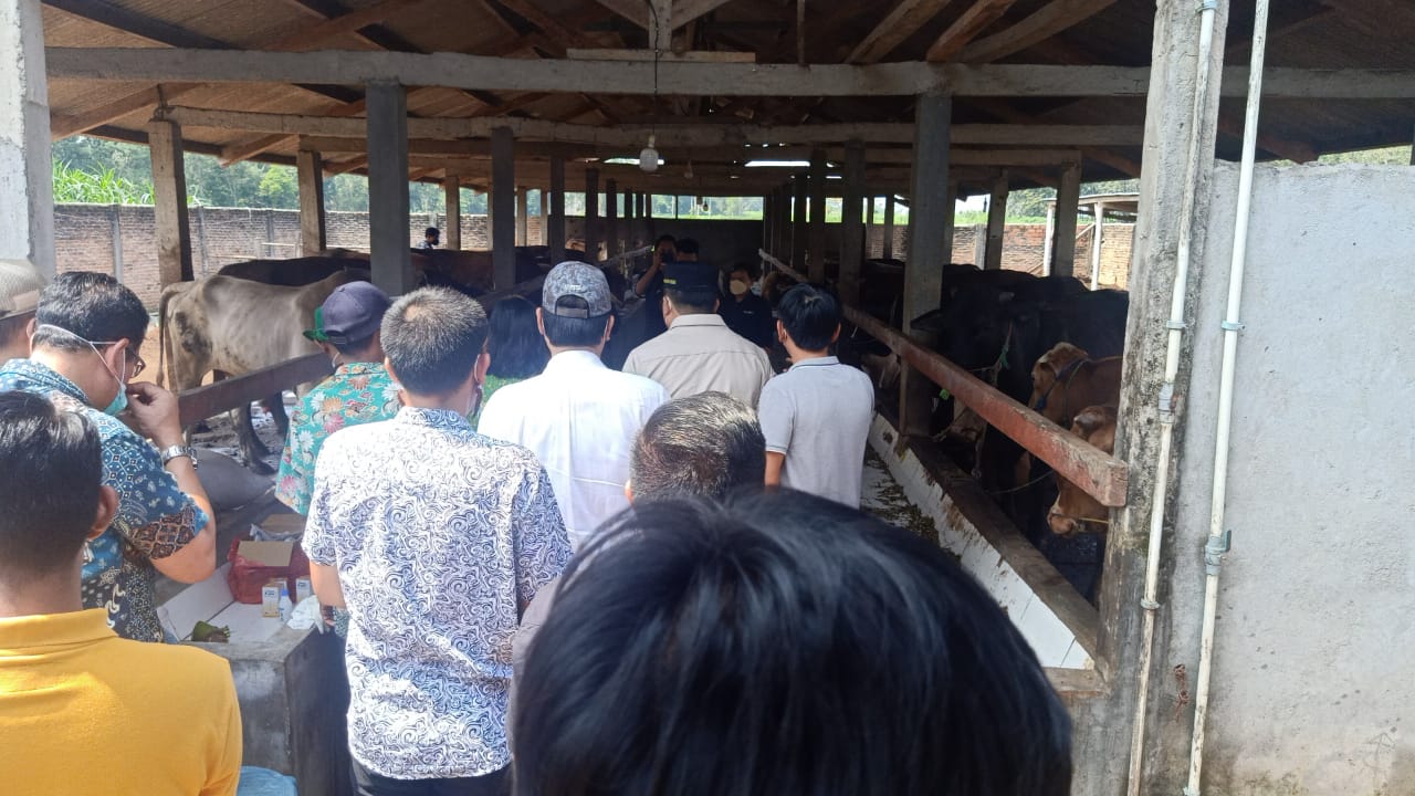 Mendampingi Bapak Bupati Lampung Tengah, dalam Rangka Kunjungan Kerja dan Sosialisasi tentang Penyakit mulut dan kuku (PMK) yang menyerang hewan ternak seperti sapi, kerbau, unta, domba, kambing, rusa dan babi di Kampung Gayau Sakti