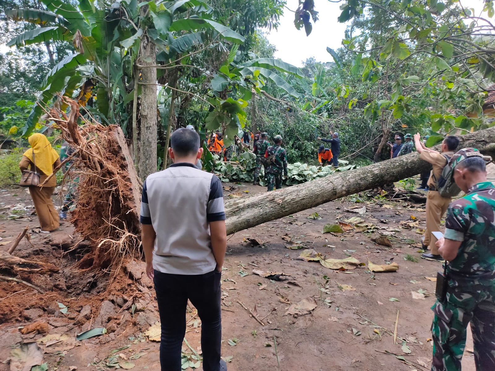 Cek Lokasi rumah yang terkena angin putting beliung dan gotong royong di Kampung Gayau Sakti dan Muji Rahayu (Selasa, 04 April 2023)