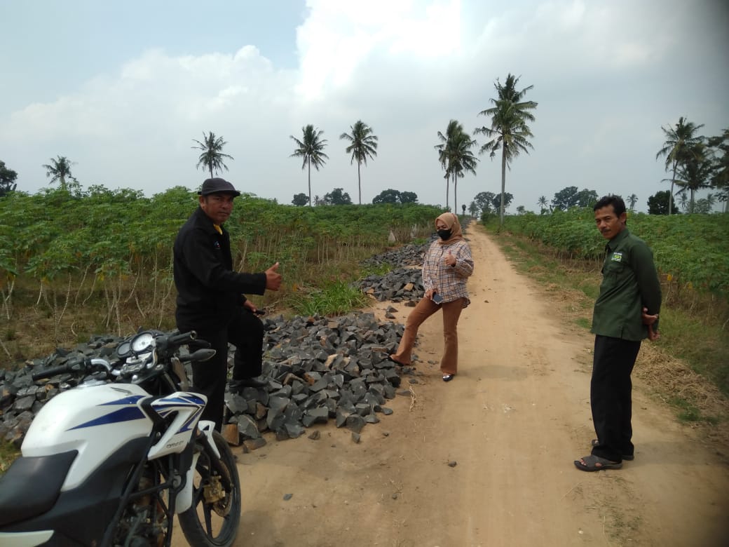 Monitoring ADD/ADK kampung bumi kencana, Endang Rejo dan Gayau Sakti (Jum'at, 25 Agustus 2023)